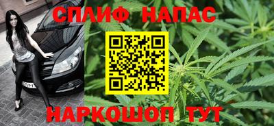дживик Тара