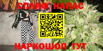 молекула духа Тверь