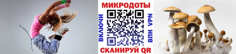 где можно купить   Новоалександровск  omg зеркало  Псилоцибиновые грибы мухоморы 
