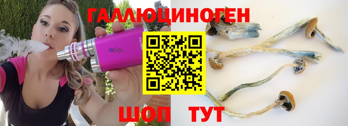 цена   Псилоцибиновые грибы Psilocybe  Вход с VPN  Новоалександровск 