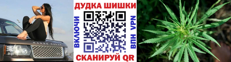 Бошки марихуана конопля Новоалександровск